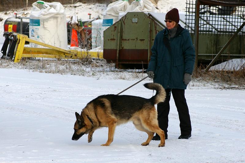 Soveltuvuustesti (53).jpg